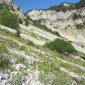 Les Gravelles : éboulis du Pas de Chabrinel.