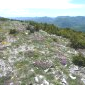 Crêtes de la Montagne d'Angèle.